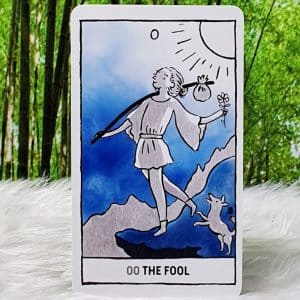 Magickal Tarot Guidebook and Deck by Robyn Valentine The Fool