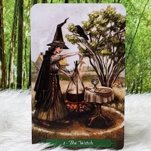 The Green Witch Tarot Cards by Ann Moura The Witch