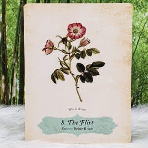 Oracle of the Roses by Cheralyn Darcey The Flirt - Sweet Briar Rose