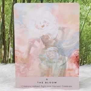 The Rose Oracle Deck by Rebecca Campbell The Bloom