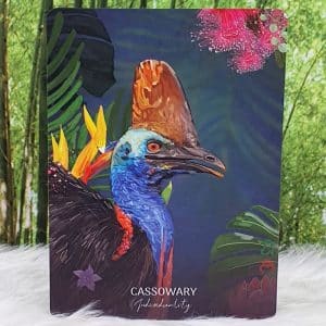 Cassowary