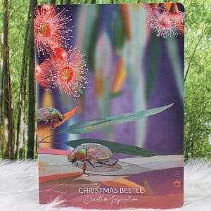 Wild Wisdom Australia Oracle by Karin Roberts Christmas Beetle