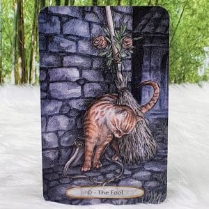 Soul Cats Tarot Cards by Leeza Robertson - The Fool