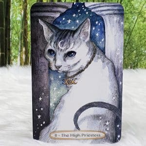 Soul Cats Tarot Cards by Leeza Robertson - The High Priestess