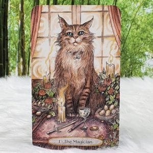 Soul Cats Tarot Cards by Leeza Robertson - The Magician