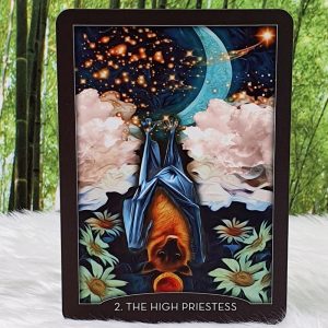 The Guardian of the Night Tarot Cards by MJ Cullinane - The High Priestess