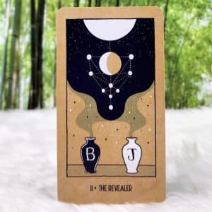 Transient Light Tarot Cards by Ari Wisner - The Revealer