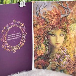 Blessings of Thankfulness Gratitude Journal by Angela Hartfield and Josephine Wall - Inside Cover