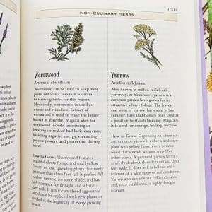 Witchcraft Book | The Green Witch's Garden by Arin Murphy-Hiscock - Wormwood and Yarrow