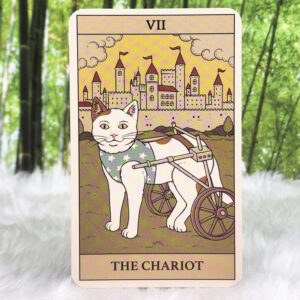 The Chariot