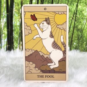 Tarot Cards | Cats Rule the Earth Tarot by Catherine Davidson - The Fool