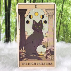 Tarot Cards | Cats Rule the Earth Tarot by Catherine Davidson - The High Priestess