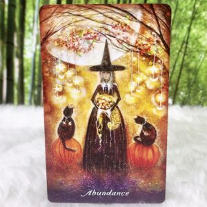 Earthly Souls & Spirits Moon Oracle by Terri Foss - Abundance