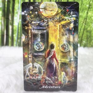 Earthly Souls & Spirits Moon Oracle by Terri Foss - Adventure