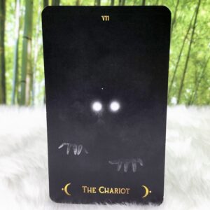 The Chariot Card