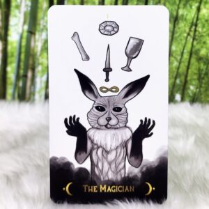 The MacabrE Tarot Deck and Guidebook by Samantha West - The Magician