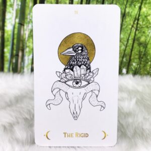 The Rigid Card