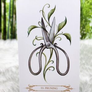 The Pruning Card