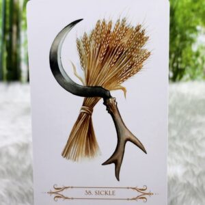 The Sickle Card