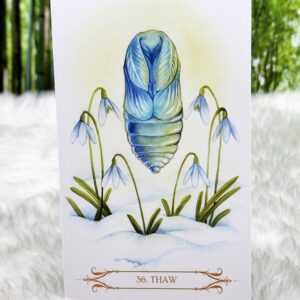 The Thaw Card