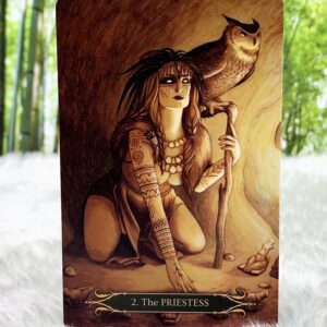 A Compendium of Witches Oracle Cards by Natasa Ilincic - The Priestess