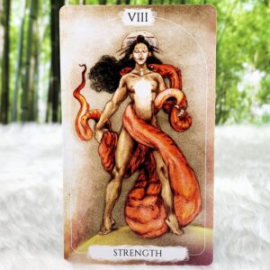 The Strength Card