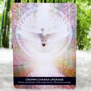 Crown Chakra Upgrade