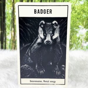 Badger - Determination and Mental Energy