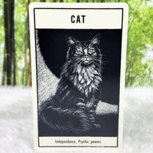 Cat - Independence and Psychic Powers