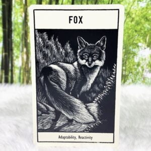 Fox - Adaptability and Reactivity