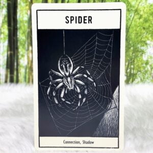 Untamed Spirit Animal Oracle by Francesca Matteoni - Spider - Connection and shadow