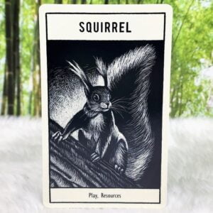 Squirrel - Play and Resources