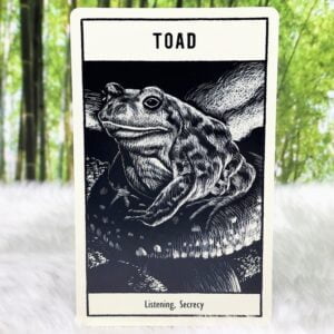 Untamed Spirit Animal Oracle by Francesca Matteoni - Toad - Listening and secrecy