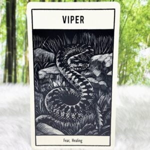 Untamed Spirit Animal Oracle by Francesca Matteoni - Viper - Fear and Healing