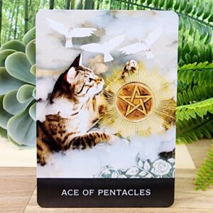 Ace of Pentacles