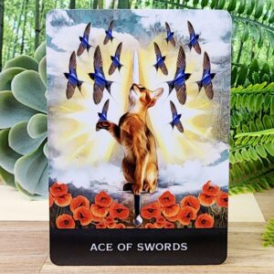 Ace of Swords