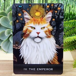 Grimalkin's Curious Cats Tarot Cards by MJ Cullinane - The Emperor