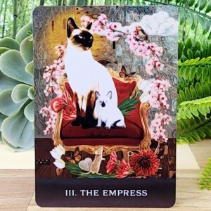 Grimalkin's Curious Cats Tarot Cards by MJ Cullinane - The Empress