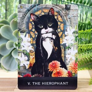 Grimalkin's Curious Cats Tarot Cards by MJ Cullinane - The Hierophant