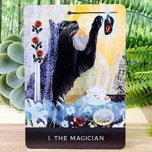 Grimalkin's Curious Cats Tarot Cards by MJ Cullinane - The Magician