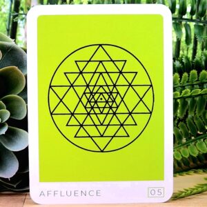 The Affluence Card