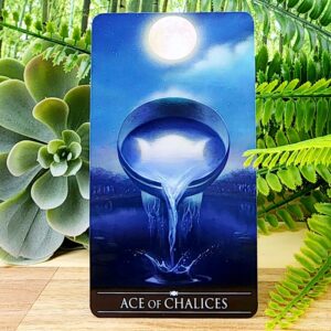 Silver Witchcraft Tarot Cards by Barbara Moore - Ace of Chalices