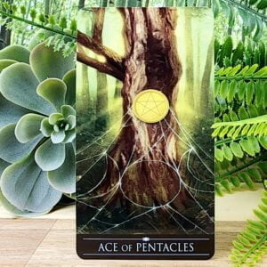 Silver Witchcraft Tarot Cards by Barbara Moore - Ace of Pentacles