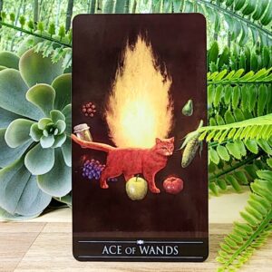 Silver Witchcraft Tarot Cards by Barbara Moore - Ace of Wands