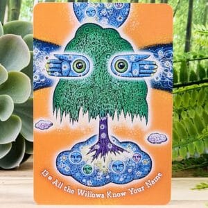 The Dream Weaver's Oracle Cards by Colette Baron-Reid - All the willows know your name