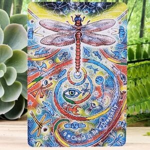 The Dream Weaver's Oracle Cards by Colette Baron-Reid - Could it be a dragonfly