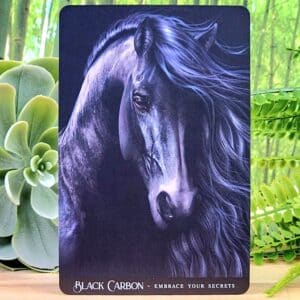 Oracle of the Sacred Horse Reading Cards by Kathy Pike - Black Carbon - Embrace your secrets