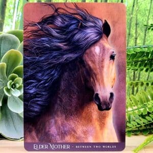 Oracle of the Sacred Horse Cards by Kathy Pike - Elder Mother - Between Two Worlds