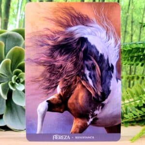 Oracle of the Sacred Horse Cards by Kathy Pike - Fiereza - Resistance