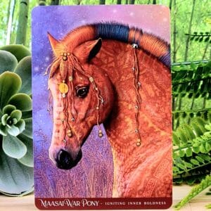 Maasai War Pony - Igniting Inner Boldness